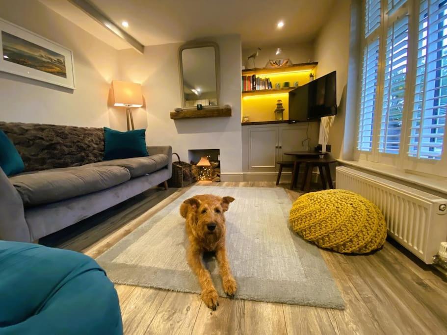 Beautiful Immaculate Cottage, Sunny Outdoor Space, Free Parking - Easy Walk To & Town *